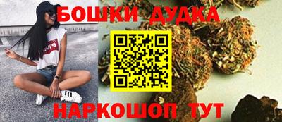 гашик Славгород