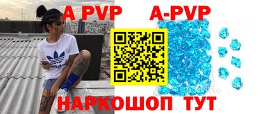 гашик Славгород