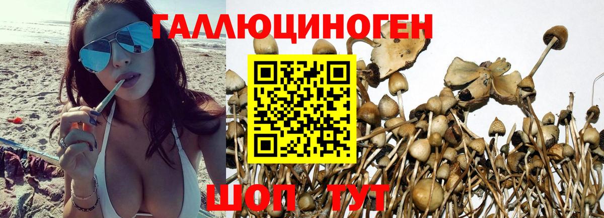 Новый Уренгой  Галлюциногенные грибы ЛСД  Вход с VPN 